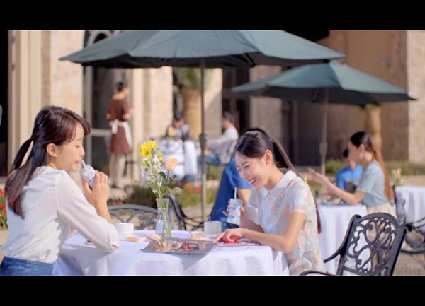 天友酸奶广告宣传片之女神下午茶篇